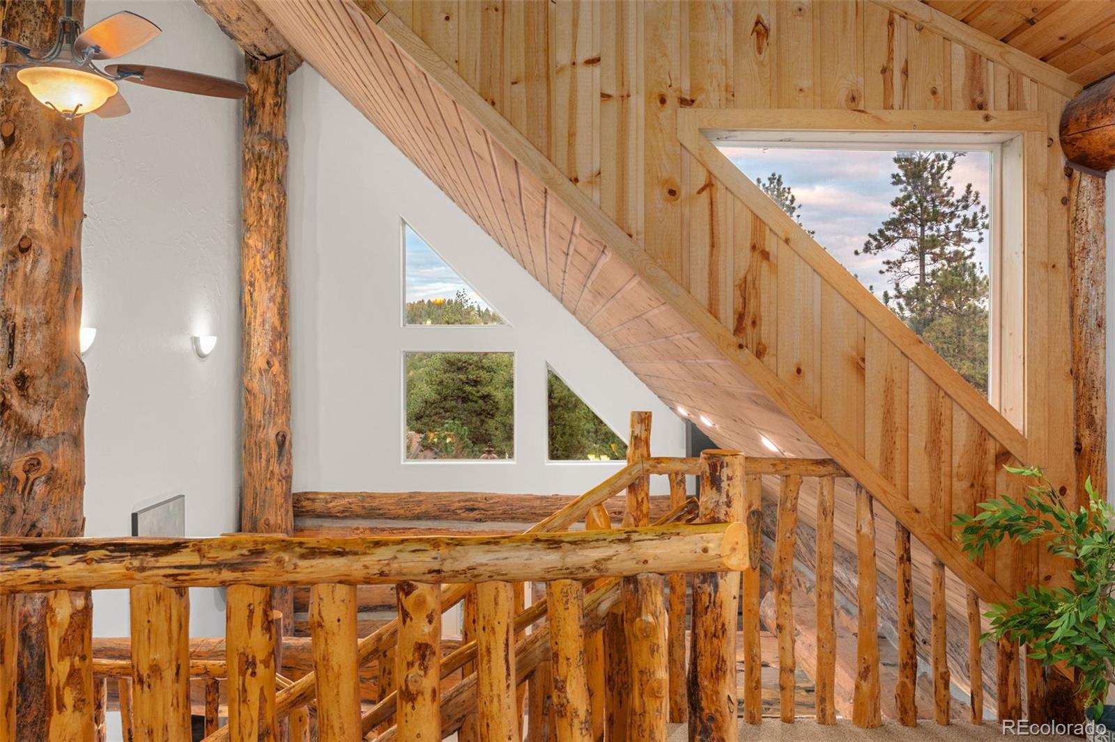 102 Carmargo Road Pine, CO 80470 - Photo 31 of 50