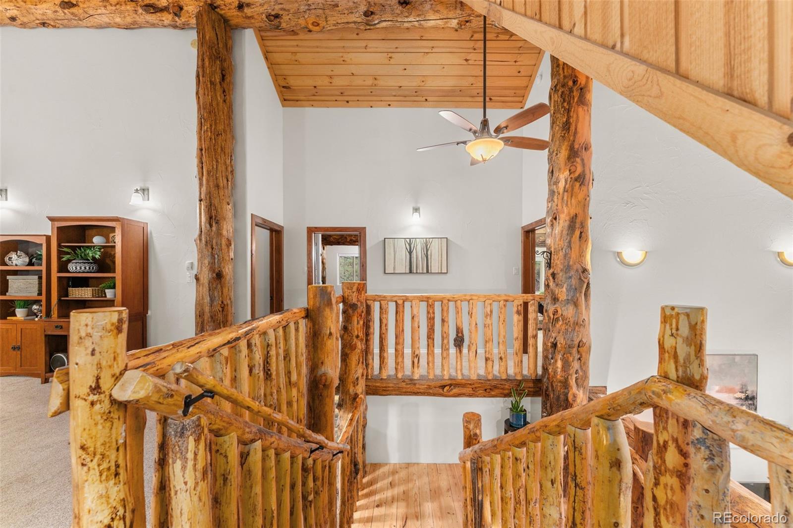 102 Carmargo Road Pine, CO 80470 - Photo 32 of 50