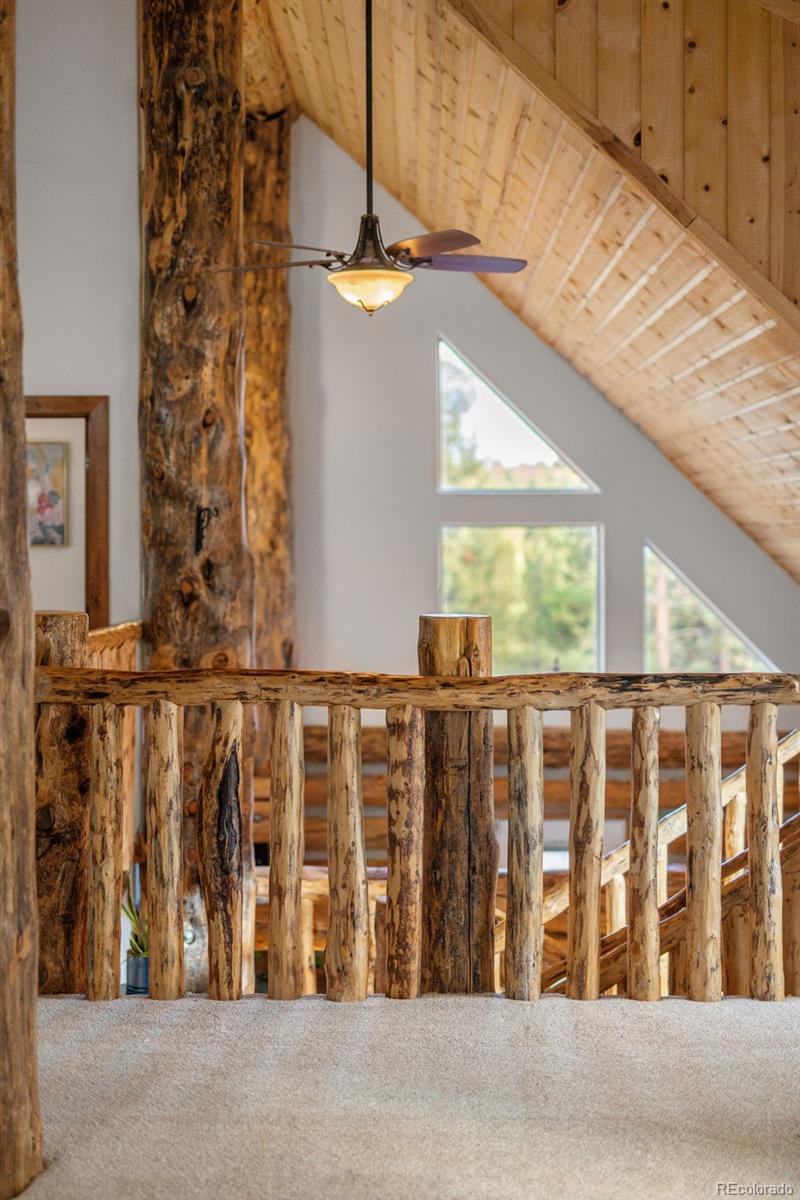 102 Carmargo Road Pine, CO 80470 - Photo 33 of 50