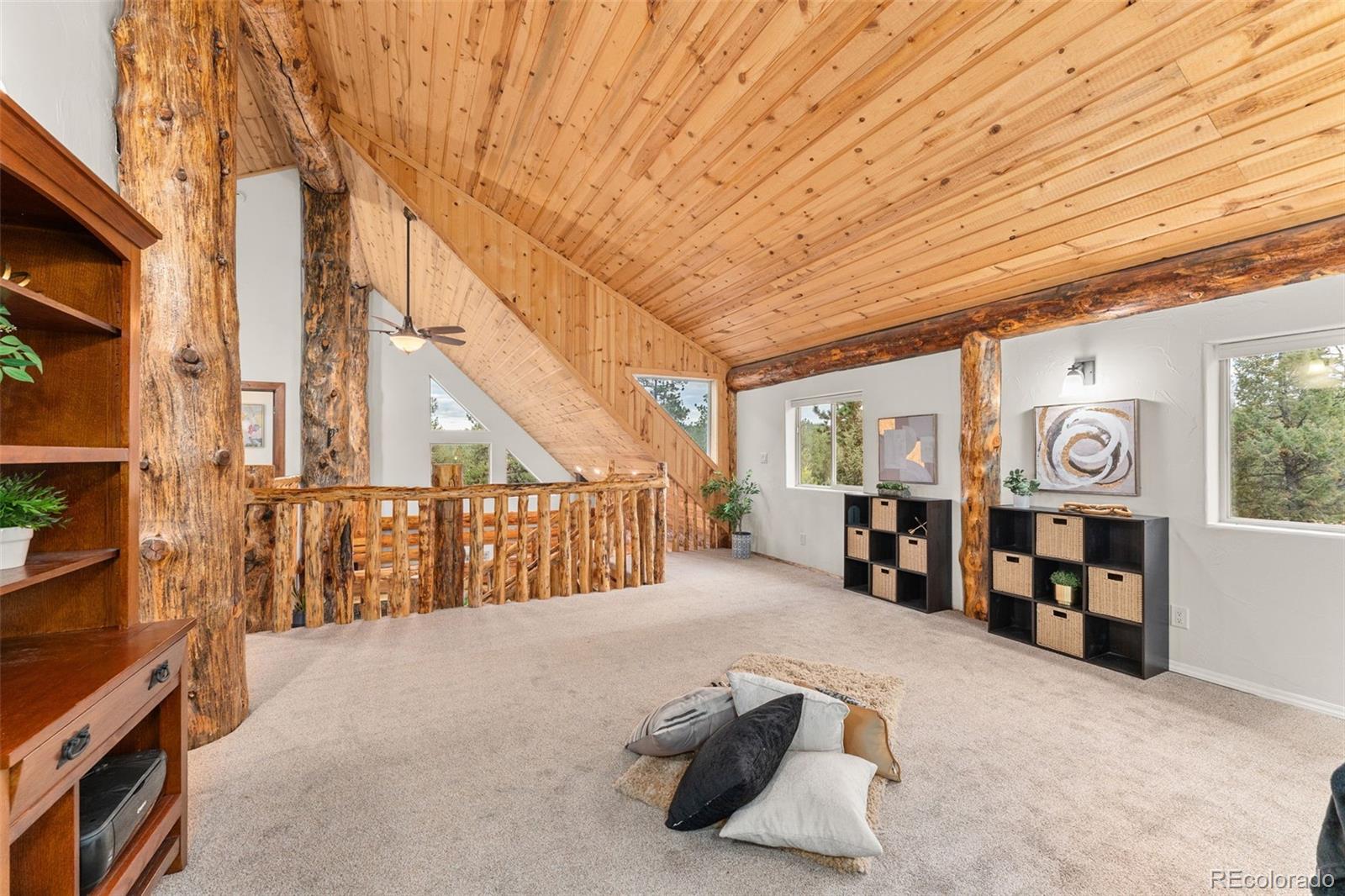 102 Carmargo Road Pine, CO 80470 - Photo 35 of 50