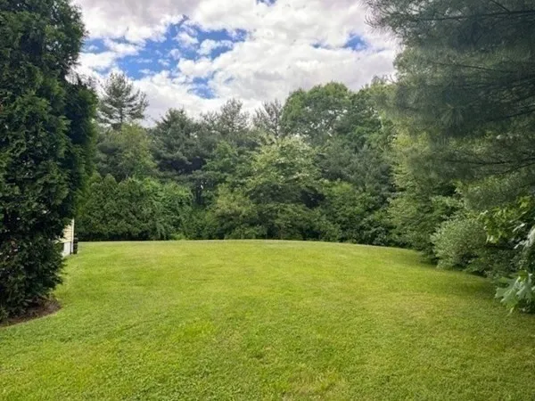 a view of outdoor space and yard