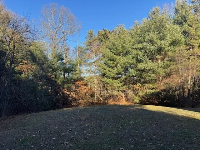 a view of large trees with an outdoor space