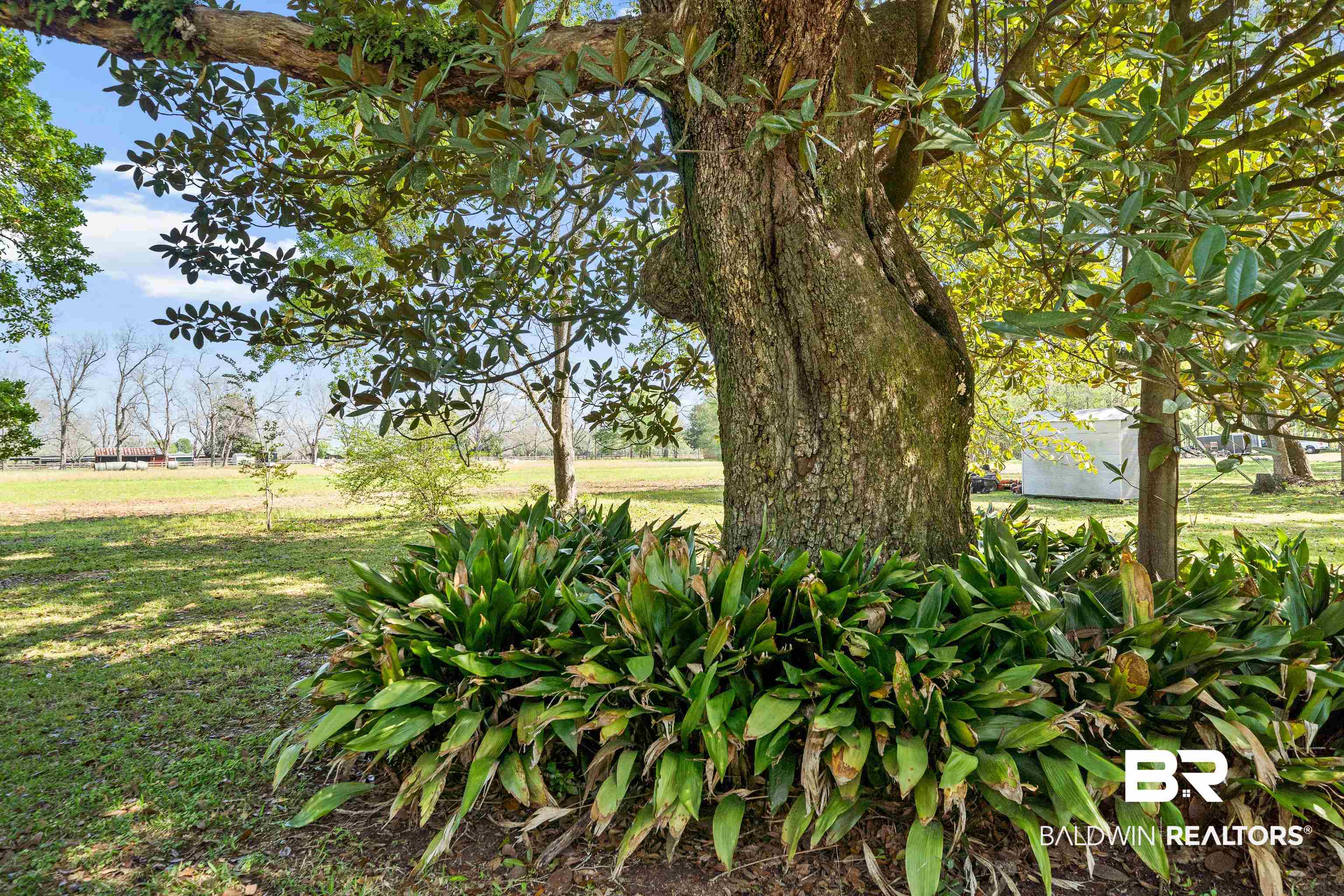 10407 LaLa Road Daphne, AL 36526 - Photo 34 of 47 Beautiful Oaks