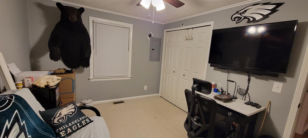 736 Olive Branch Road Prospect, VA 23960 - Photo 17 of 25 Gallery Image 17