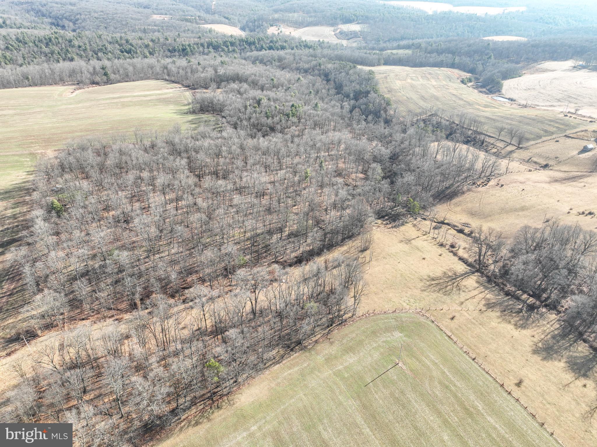 7372 Chaneysville Road Clearville, PA 15535 - Photo 145 of 146 Serene landscape of rolling hills and woods.
