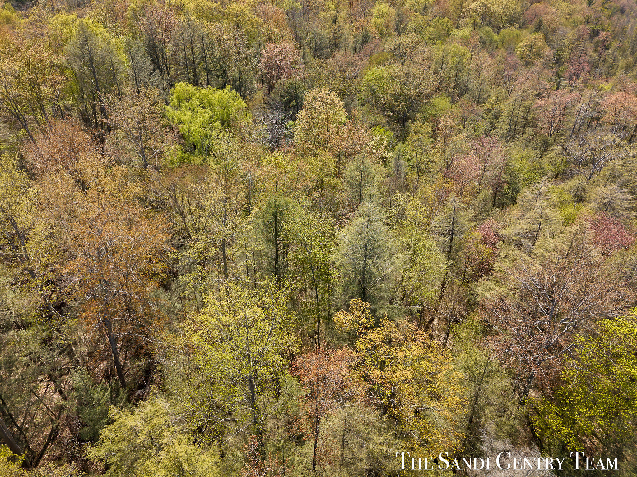 Orshal Road Whitehall, MI 49461 - Photo 12 of 15 DJI_20260514155154_0268_D_KYLE