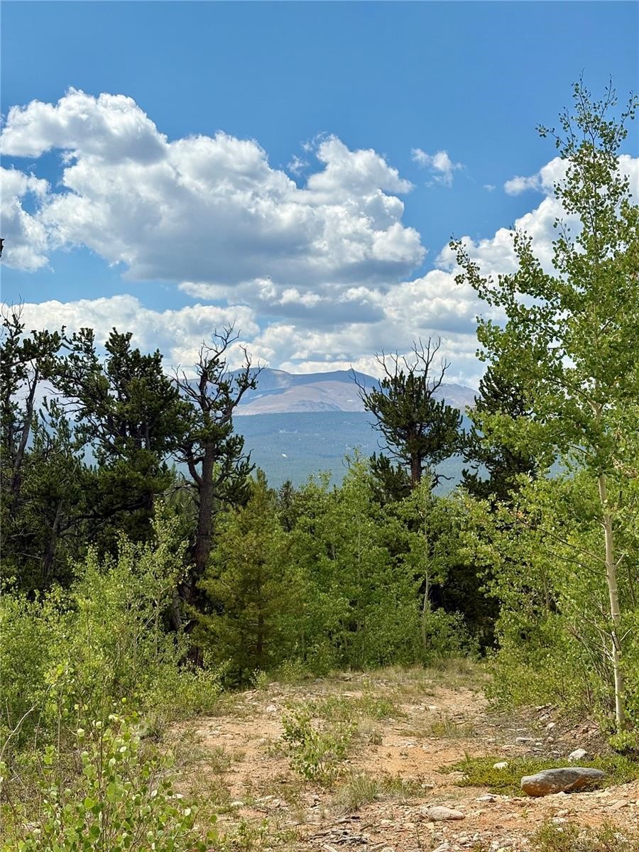 0 Beaver Creek Road Fairplay, CO 80440 - Photo 15 of 26 a view of a lake view