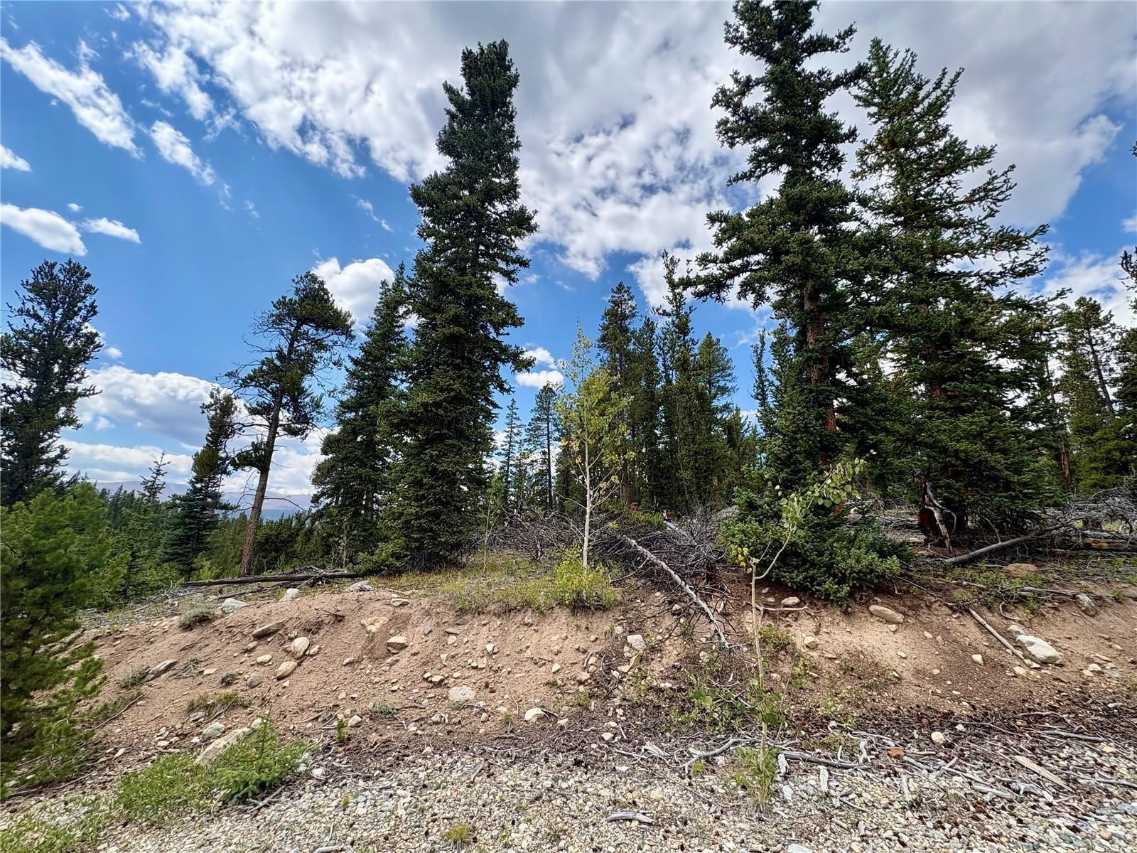 0 Beaver Creek Road Fairplay, CO 80440 - Photo 22 of 26 a backyard of a house