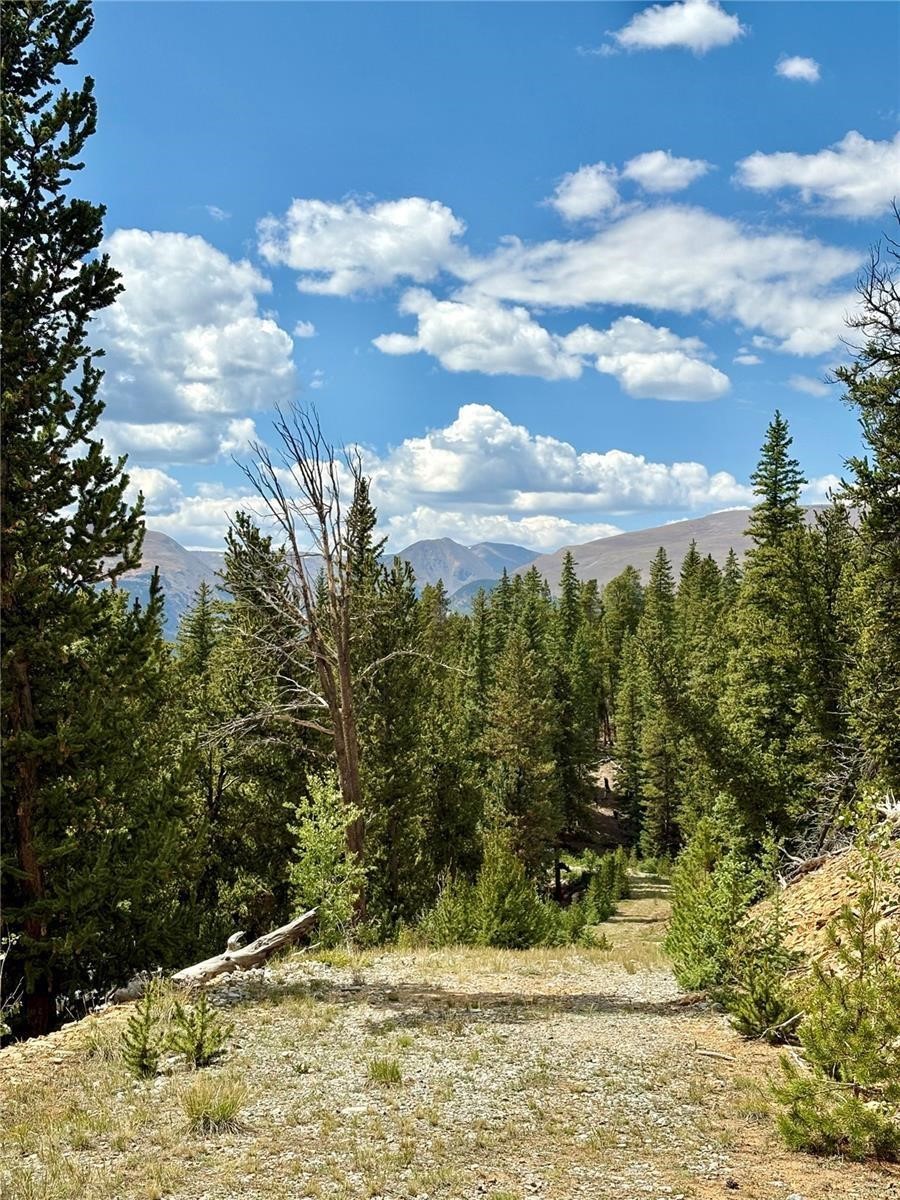 0 Beaver Creek Road Fairplay, CO 80440 - Photo 23 of 26 a view of a yard