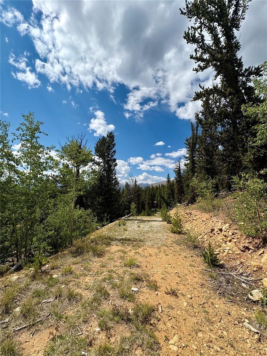 0 Beaver Creek Road Fairplay, CO 80440 - Photo 25 of 26 a view of a yard with a tree