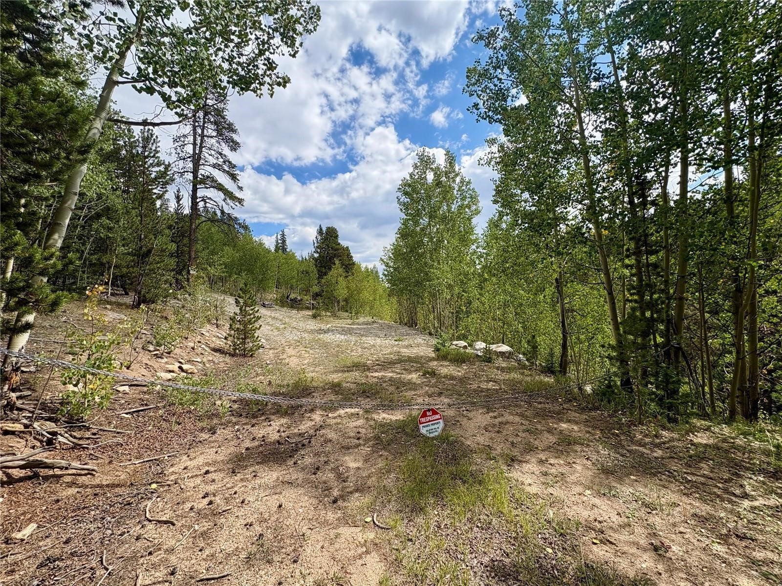 0 Beaver Creek Road Fairplay, CO 80440 - Photo 26 of 26 a view of a tree with the yard