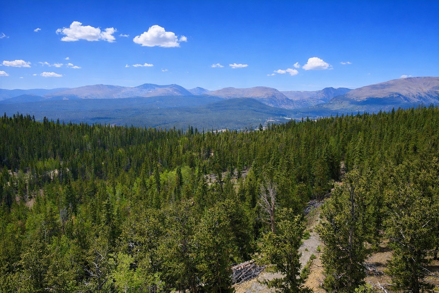 0 Beaver Creek Road Fairplay, CO 80440 - Photo 6 of 26 a view of a city and lush green forest