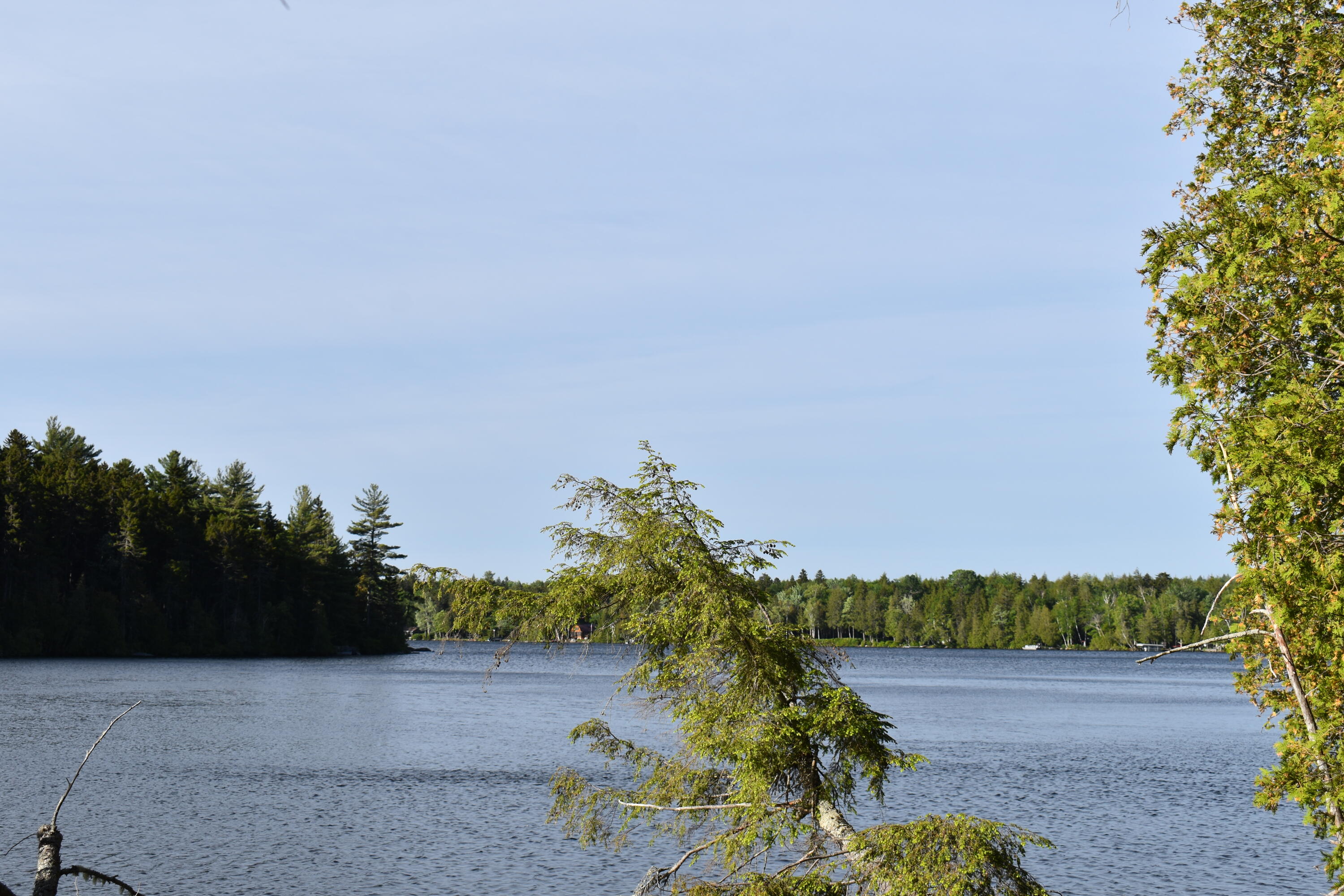 Lot 1-b-10 Lot 1-b-10 Road Weston, ME 04424 - Photo 1 of 19 DSC_0151