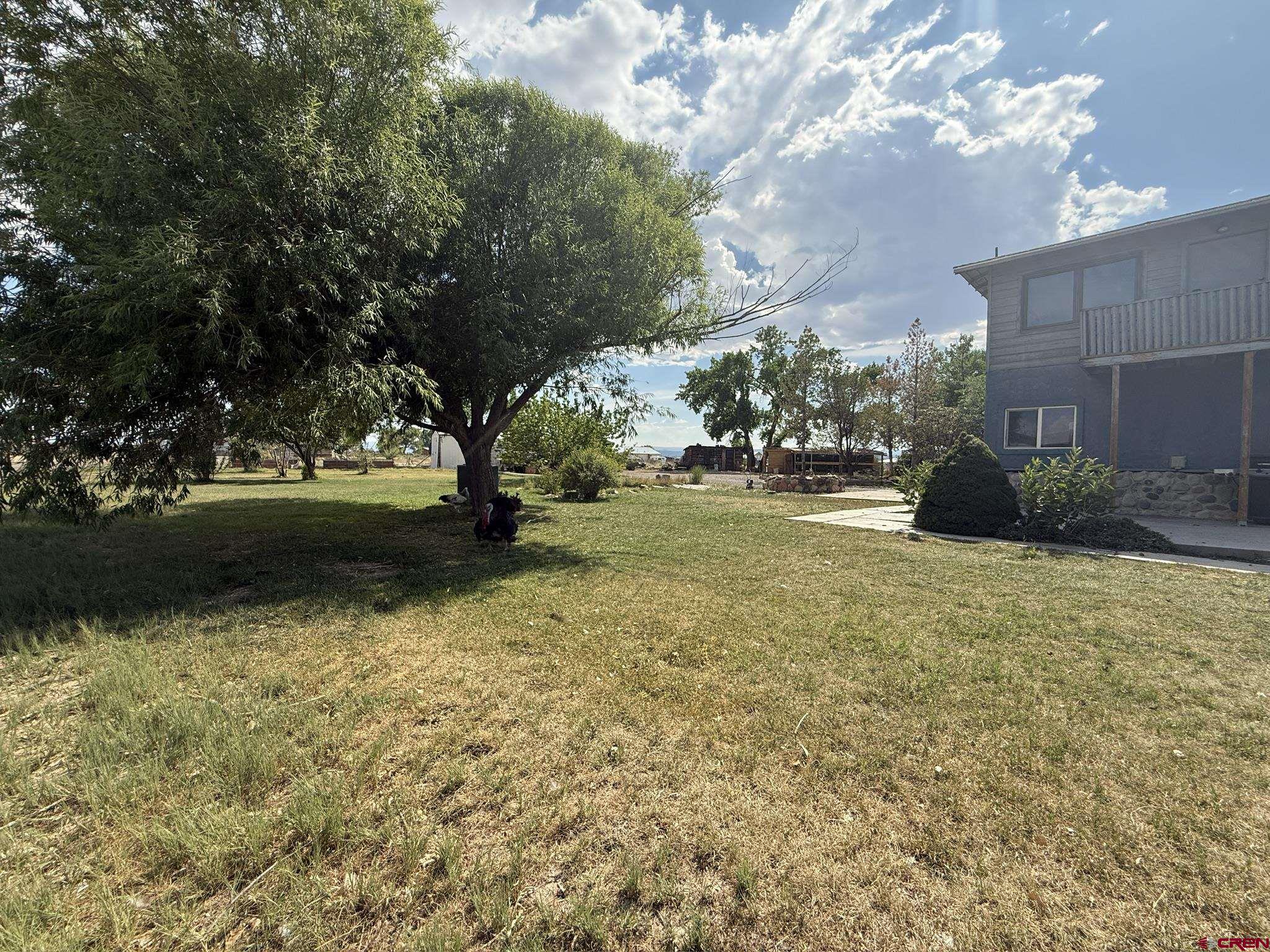 17820 B Road Delta, CO 81416 - Photo 28 of 31