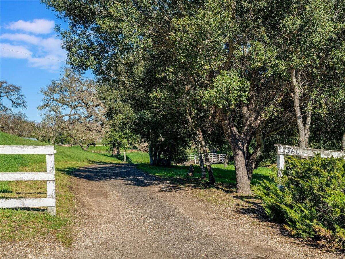 1360 Quail Ridge Road Solvang, CA 93463 - Photo 3 of 36 a view of a street with large trees