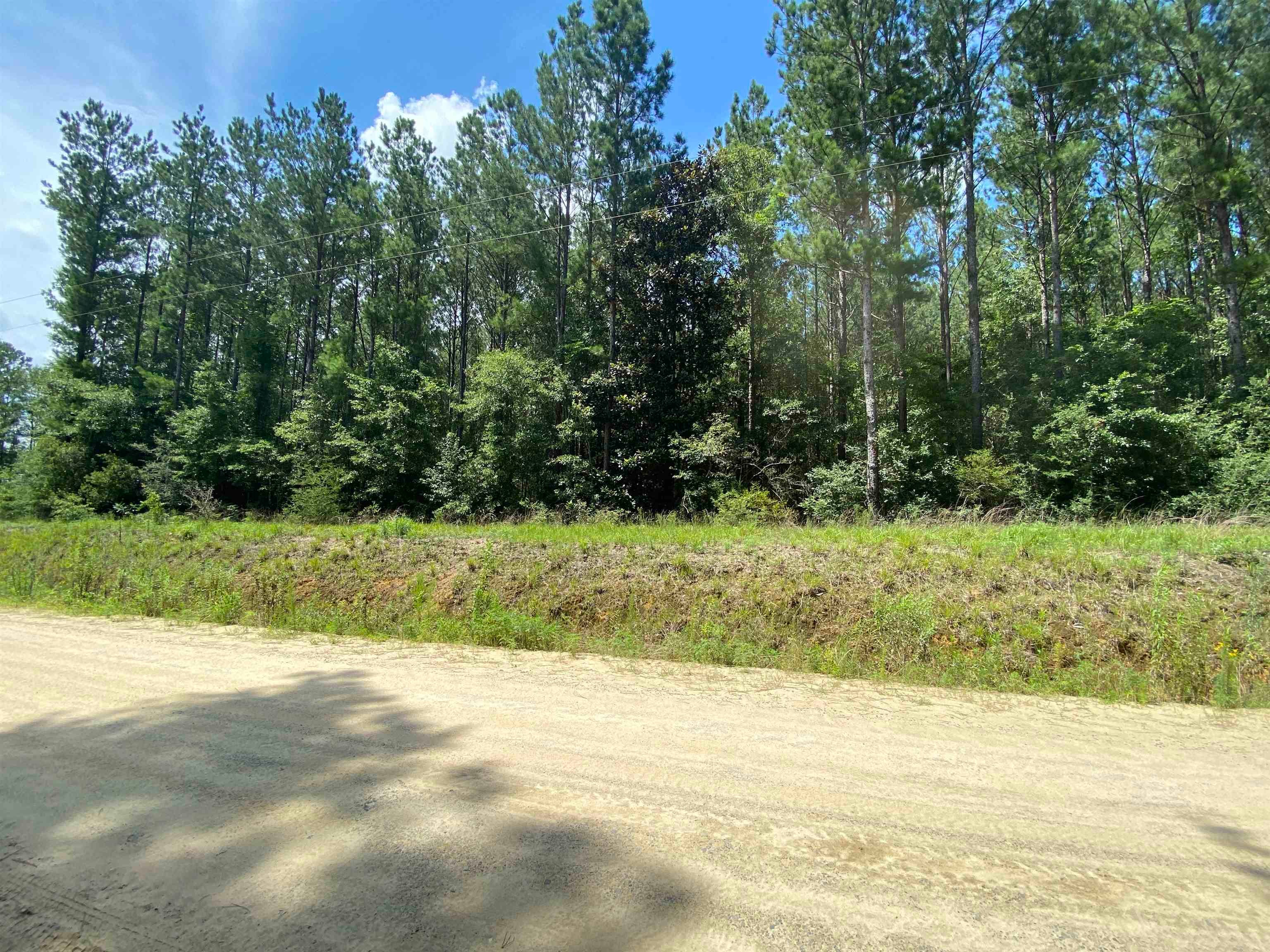 38-ac Henderson Bridge Road Opp, AL 36467 - Photo 9 of 15 Gallery Image 9