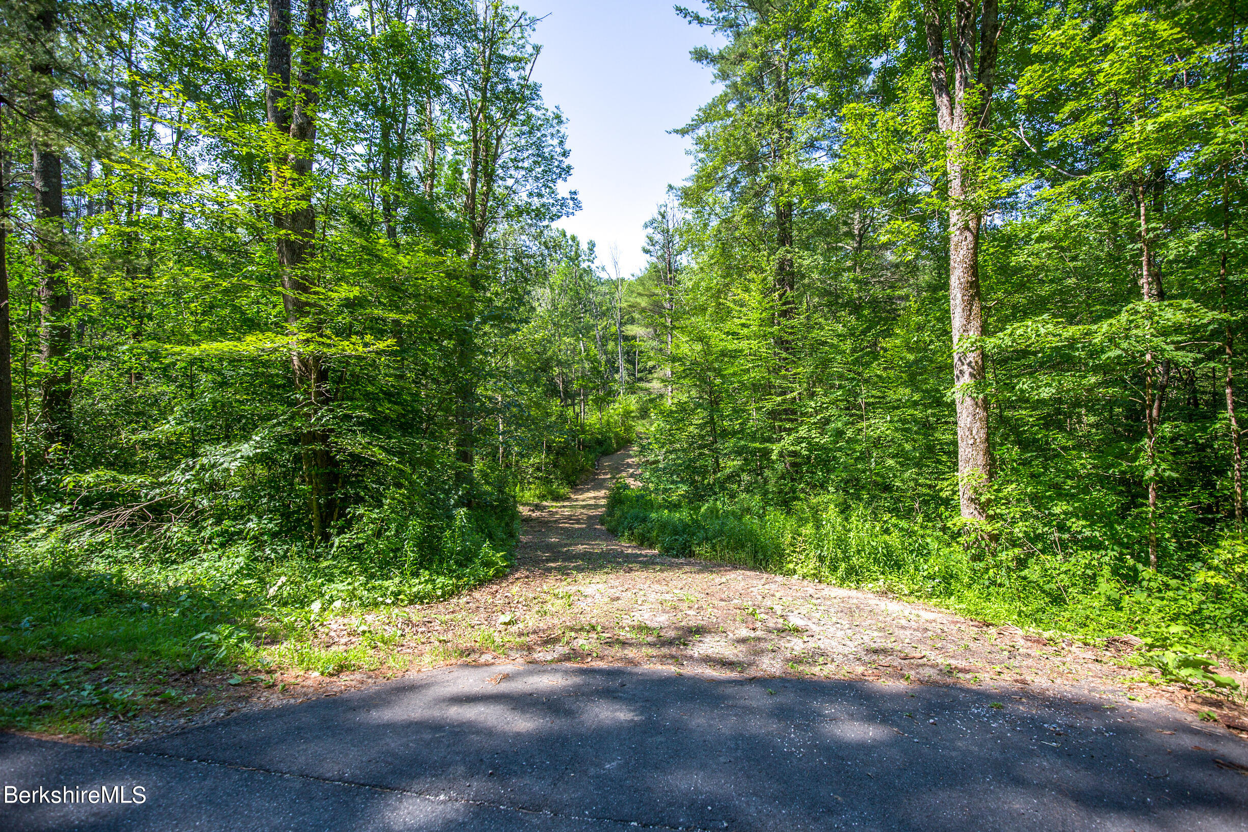 0 Main Road Tyringham, MA 01264 - Photo 3 of 11 a view of a yard with plants and trees