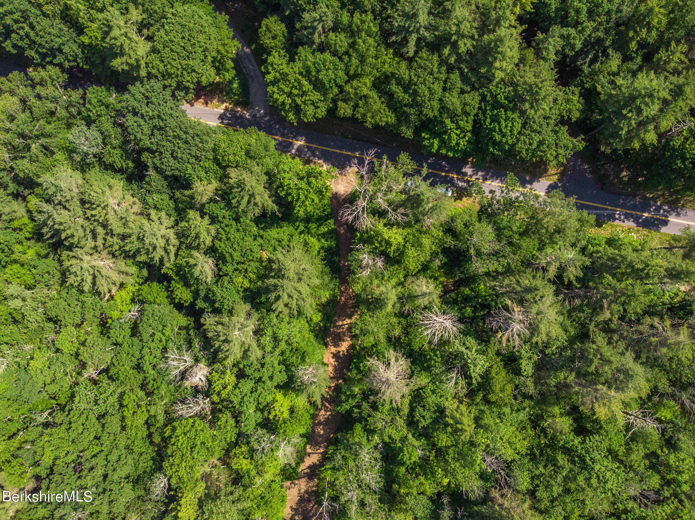 0 Main Road Tyringham, MA 01264 - Photo 5 of 11 a view of a forest