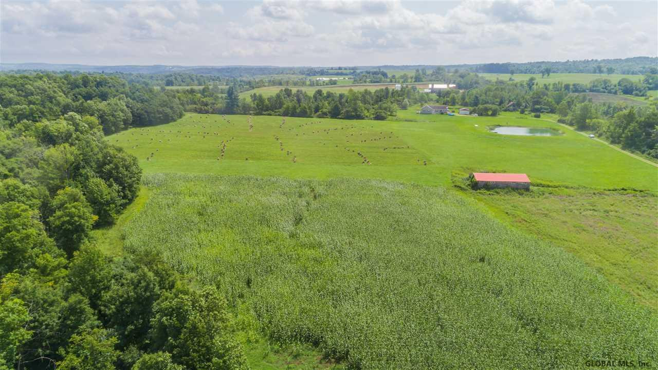 197 Brumley Road Fultonville, NY 12072 - Photo 54 of 59 Photo 54