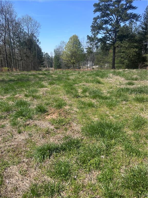 0 Elmo Road Cumming, GA 30028 - Photo 4 of 9