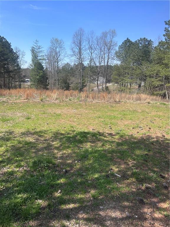 0 Elmo Road Cumming, GA 30028 - Photo 7 of 9 a view of a field with a tree
