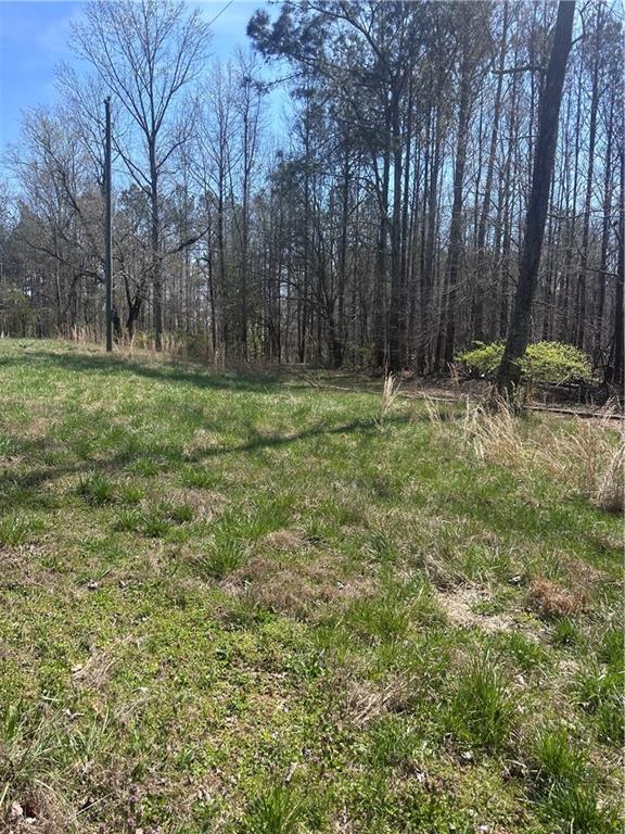 0 Elmo Road Cumming, GA 30028 - Photo 8 of 9 a view of backyard with tree