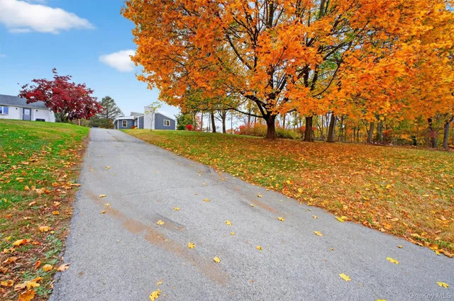 a street view with large trees