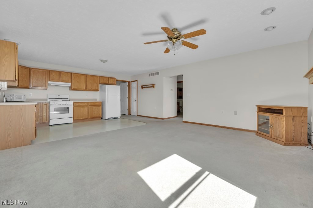 10333 West Ridge Road Elyria, OH 44035 - Photo 13 of 49 Gallery Image 13