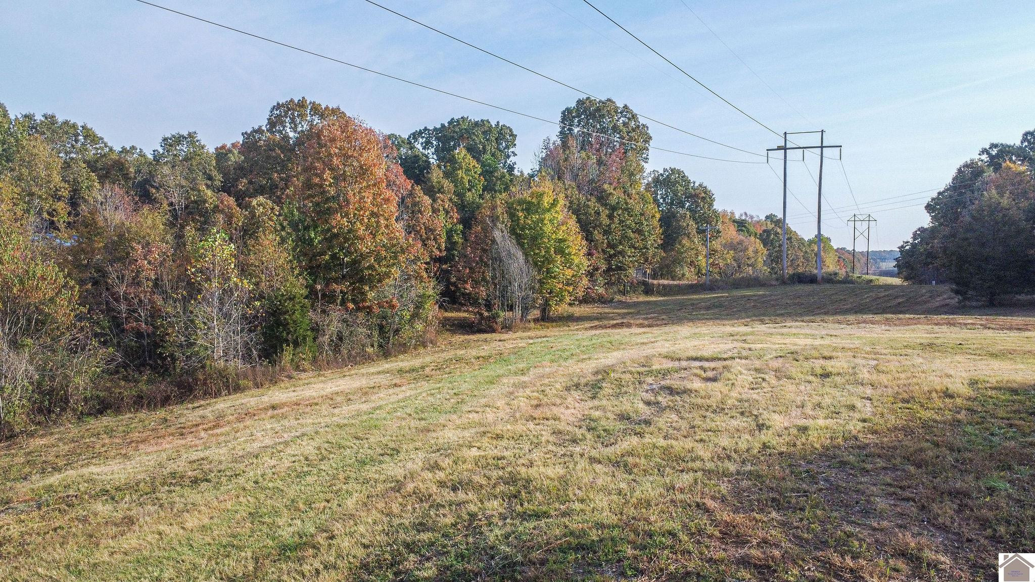 804 Newbern Road Grand Rivers, KY 42045 - Photo 12 of 35 Photo 12