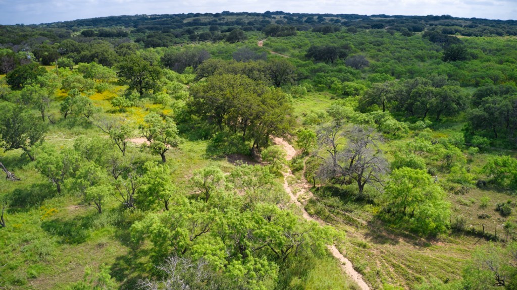 0 Sandy Lane Road Mason, TX 76856 - Photo 2 of 5 Gallery Image 2