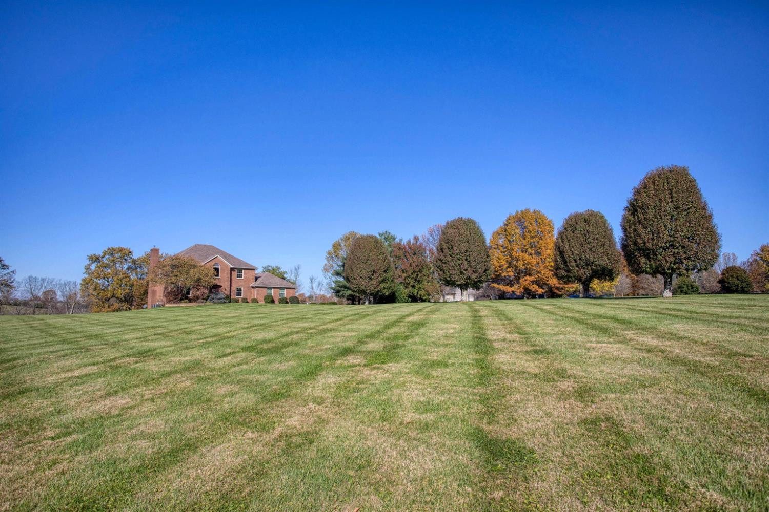 1195 The Ridings Winchester, KY 40391 - Photo 8 of 79 Photo 8