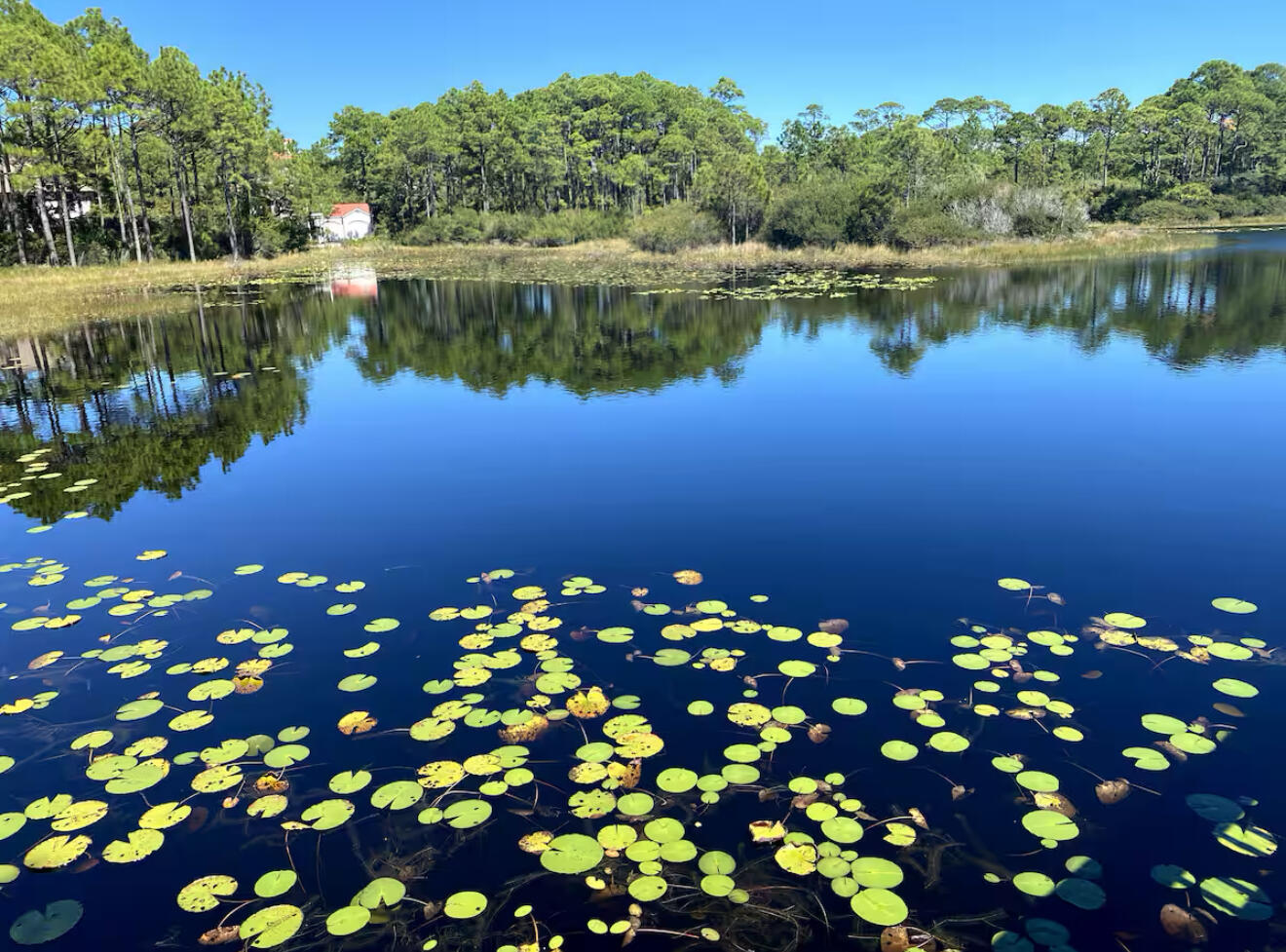 144 Spires Lane, Unit 306 Santa Rosa Beach, FL 32459 - Photo 43 of 46 IMG_7400