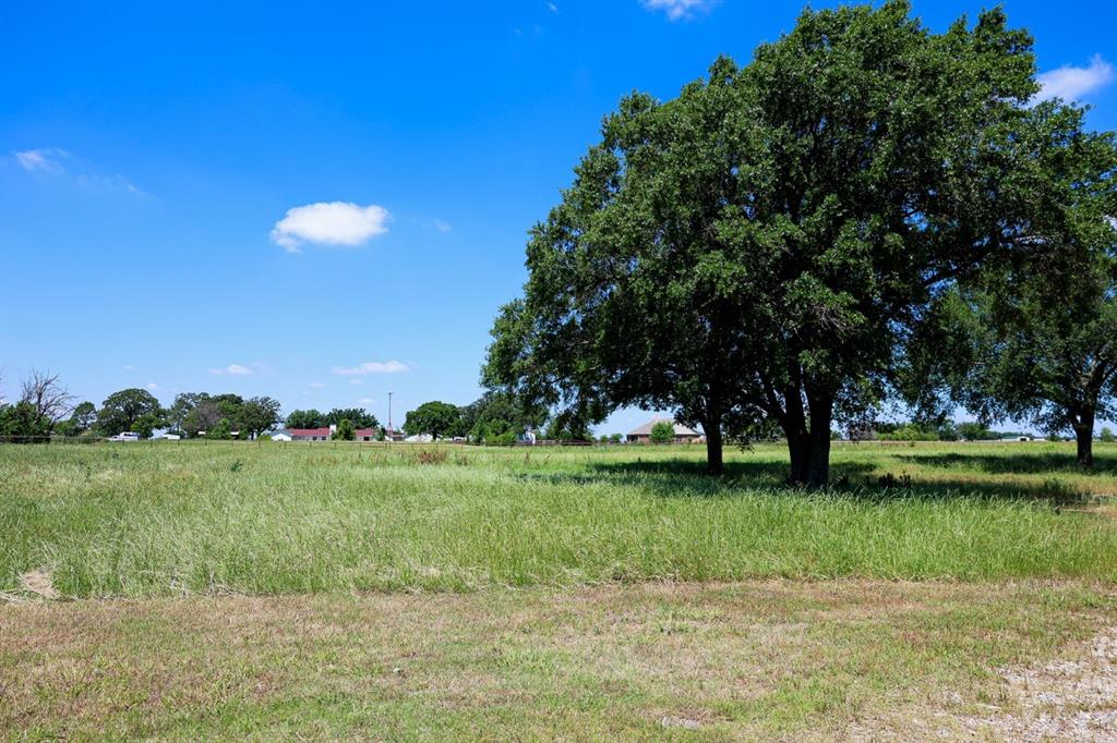 10575 Friendship Road Pilot Point, TX 76258 - Photo 14 of 32 Expansive open land featuring mature trees and distant residential structures under a clear sky