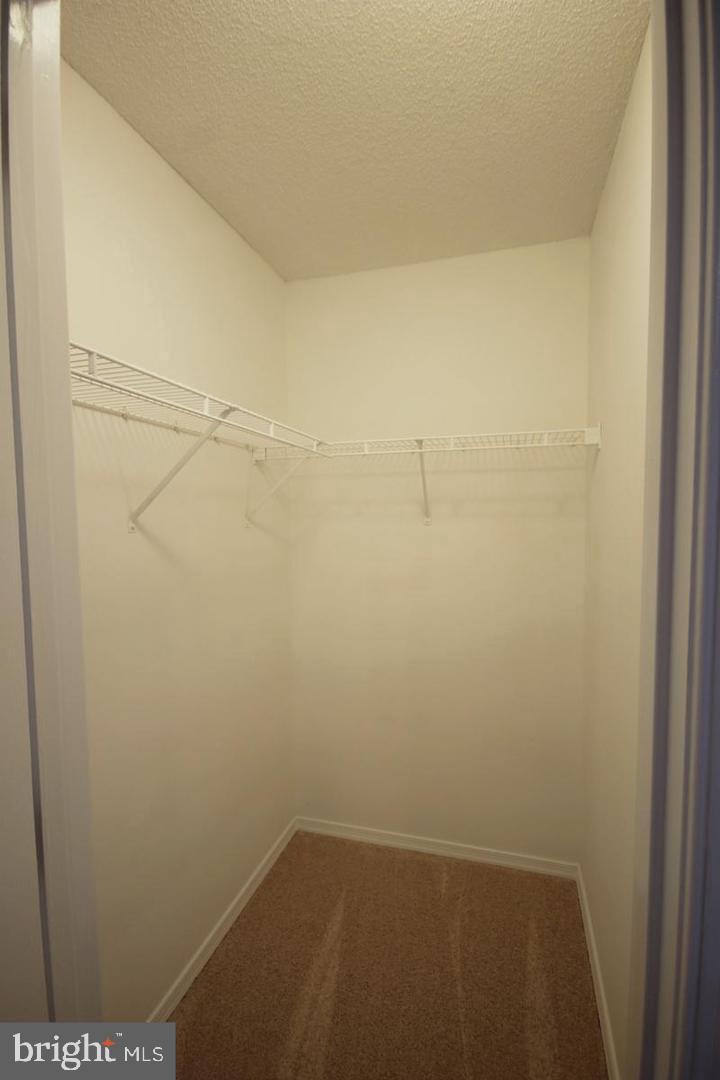 253 Will Johnson Road Louisa, VA 23093 - Photo 13 of 25