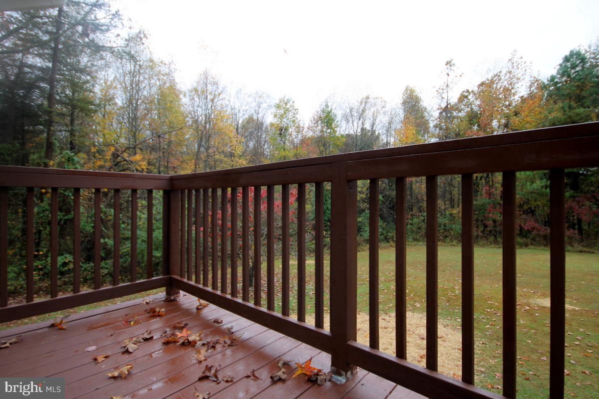 253 Will Johnson Road Louisa, VA 23093 - Photo 22 of 25