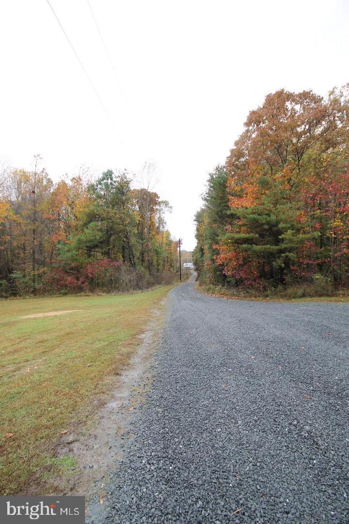 253 Will Johnson Road Louisa, VA 23093 - Photo 24 of 25