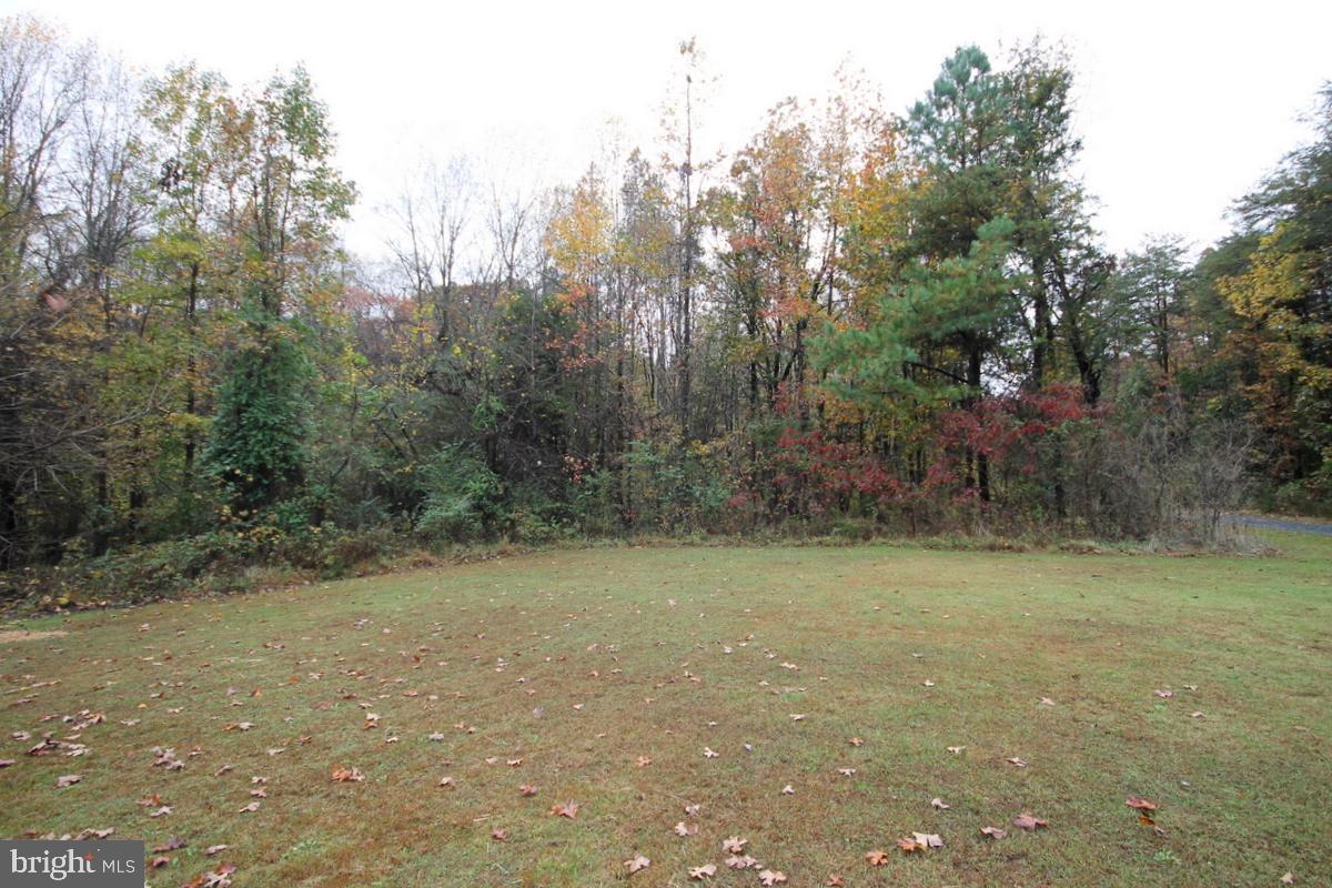 253 Will Johnson Road Louisa, VA 23093 - Photo 25 of 25