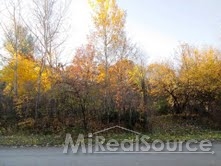 0 Pippen Drive Romeo, MI 48065 - Photo 3 of 6 31173165-2.JPG