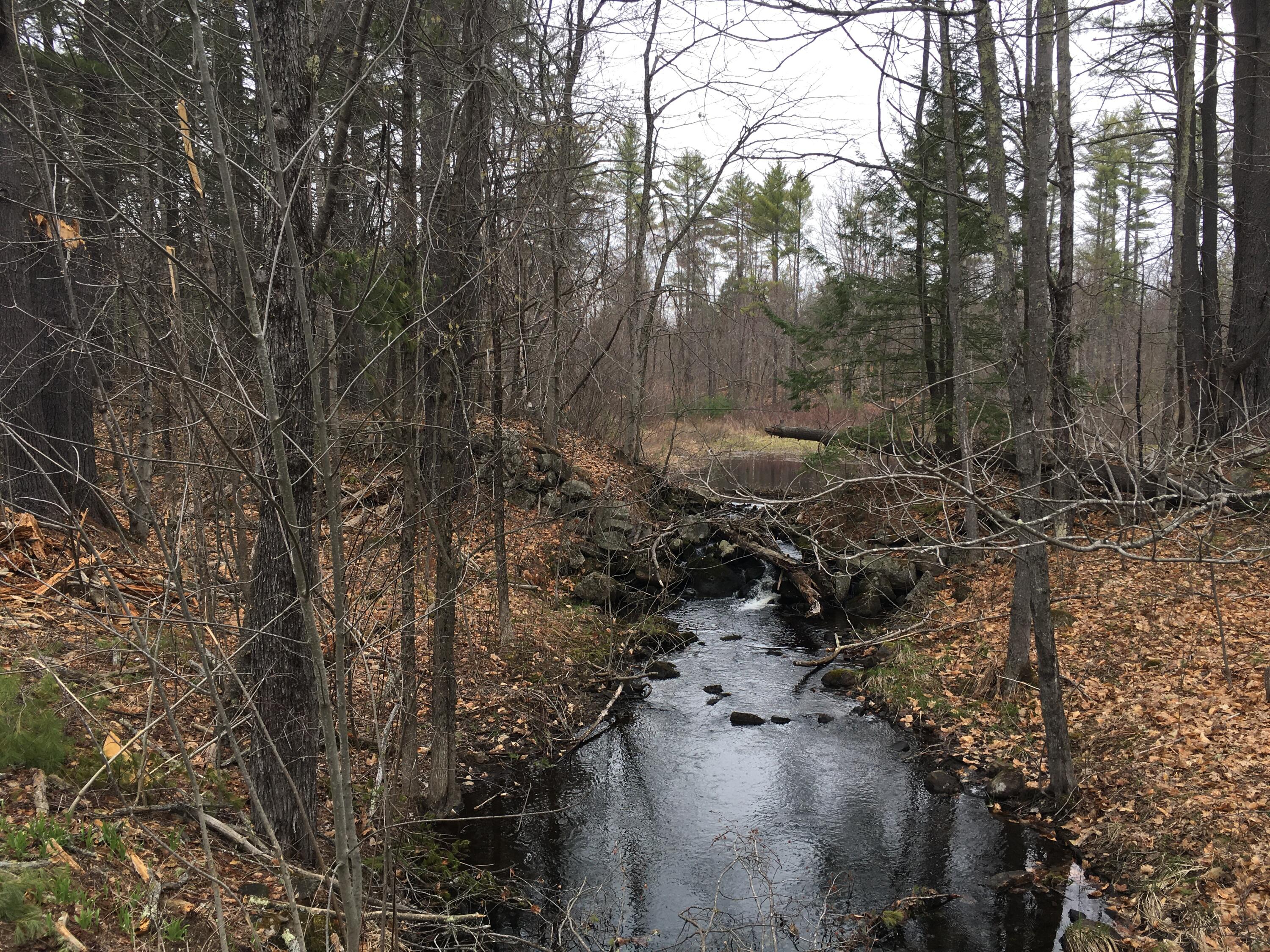 Moulton Brook