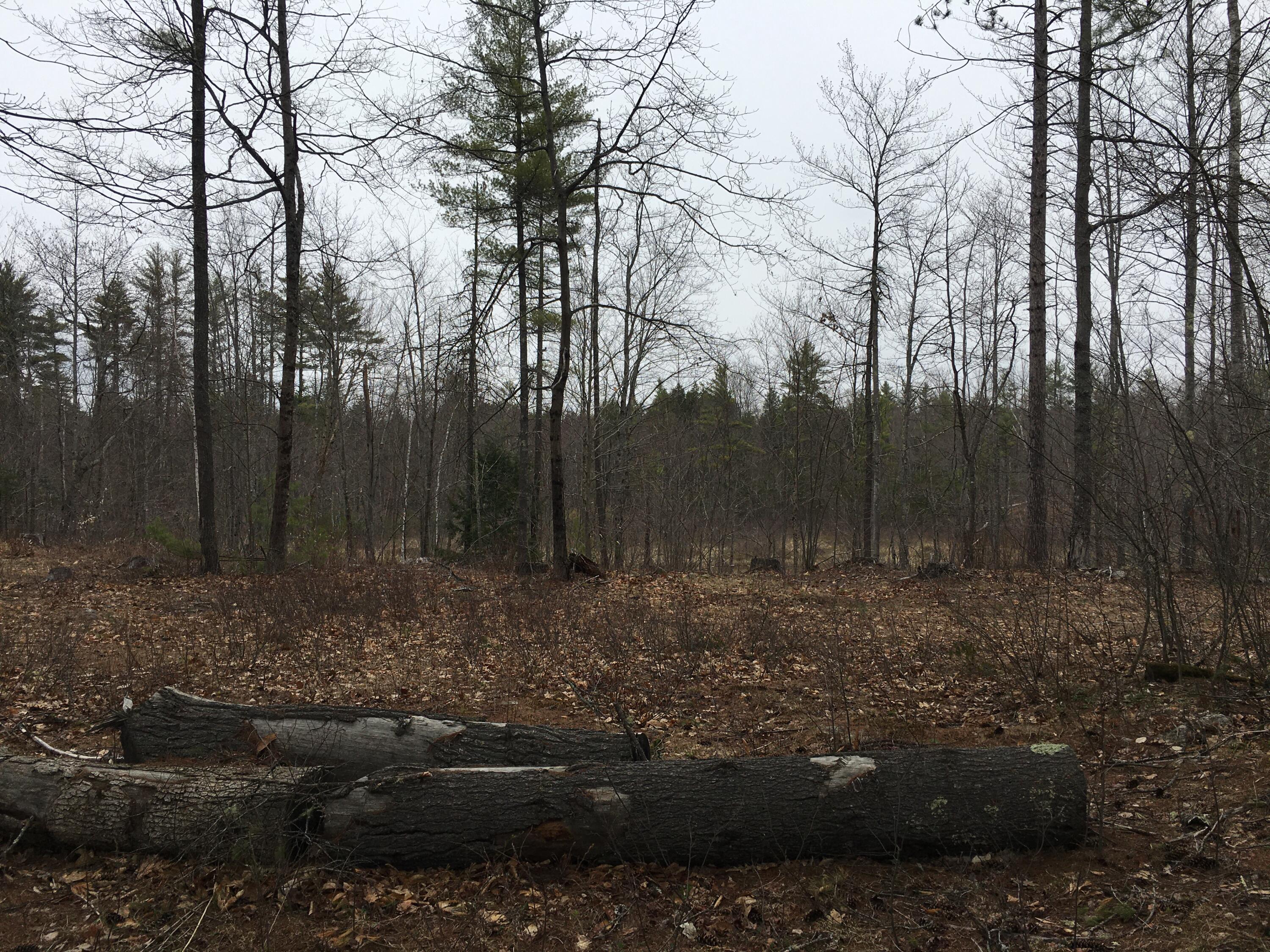 0 Spring Benson Road West Newfield, ME 04095 - Photo 2 of 5 View of wetland, brook