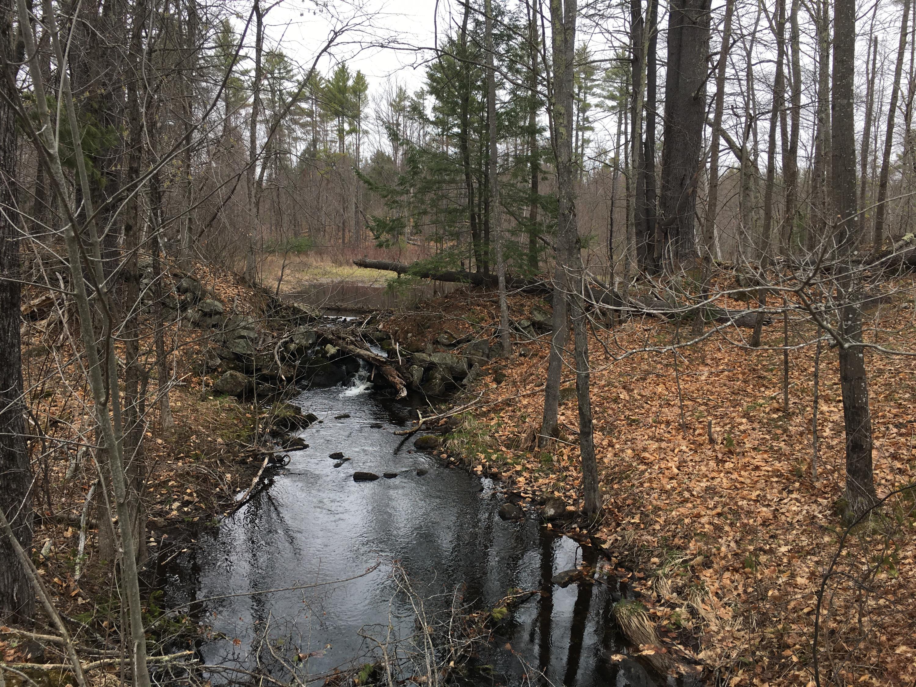 0 Spring Benson Road West Newfield, ME 04095 - Photo 4 of 5 Moulton Brook 2