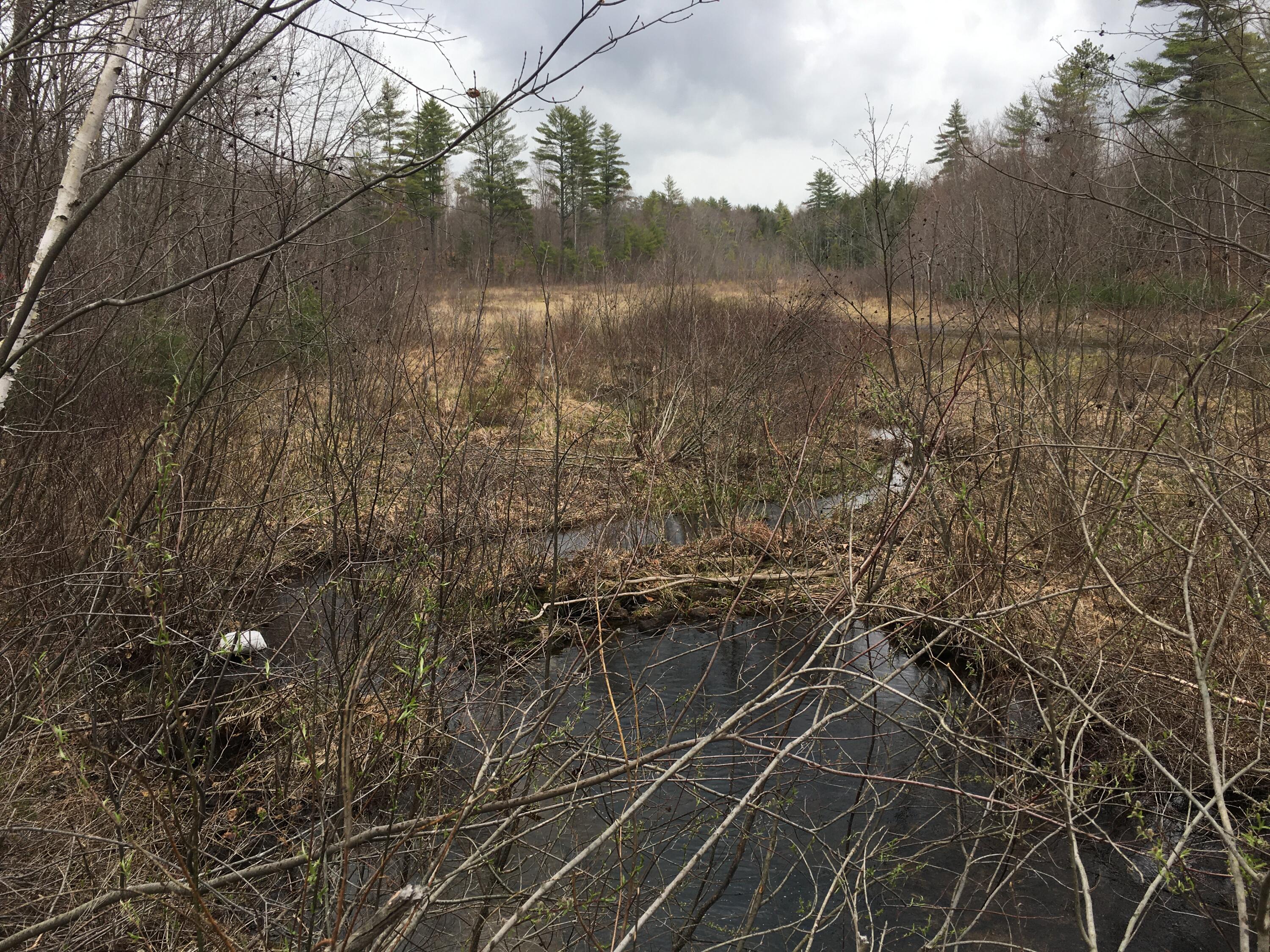0 Spring Benson Road West Newfield, ME 04095 - Photo 5 of 5 Moulton Brk. and wet wildlife area