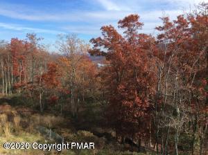 557 Upper Deer Valley Road Tannersville, PA 18372 - Photo 36 of 41 View from lower level