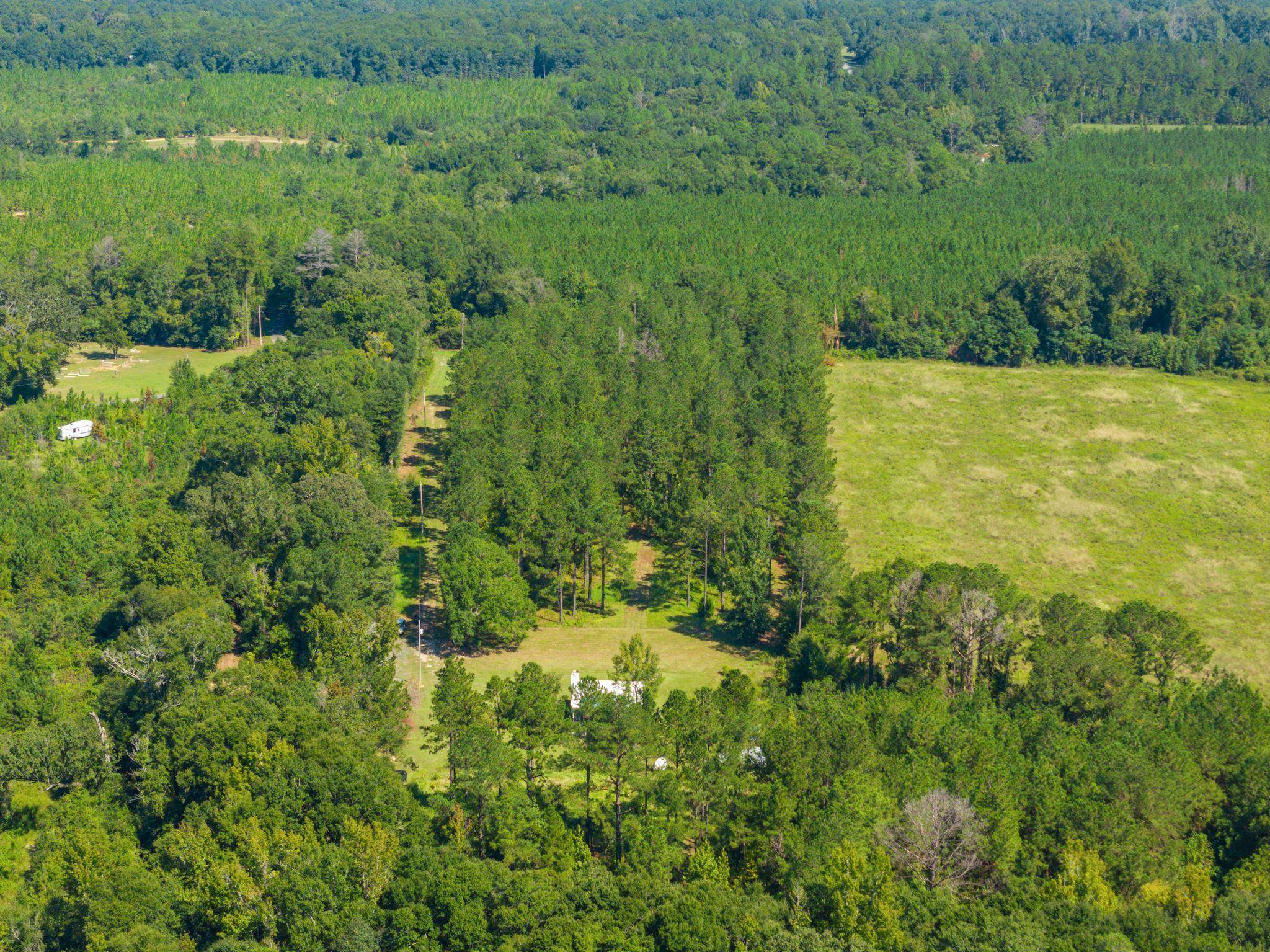 60998 Seales Road Stockton, AL 36579 - Photo 30 of 34 Aerial View