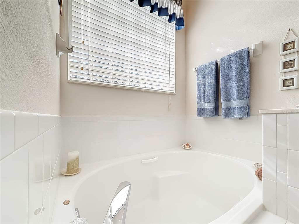 3529 Mt Hope Loop Leesburg, FL 34748 - Photo 23 of 86