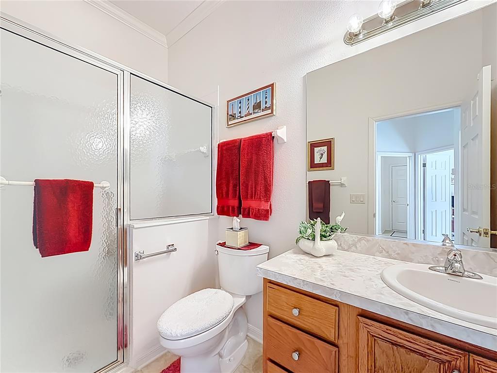 3529 Mt Hope Loop Leesburg, FL 34748 - Photo 27 of 86