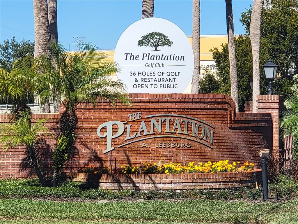 3529 Mt Hope Loop Leesburg, FL 34748 - Photo 53 of 86