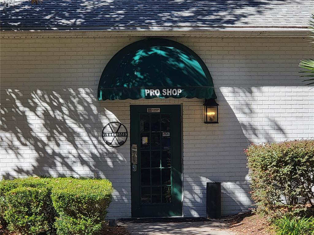 3529 Mt Hope Loop Leesburg, FL 34748 - Photo 60 of 86