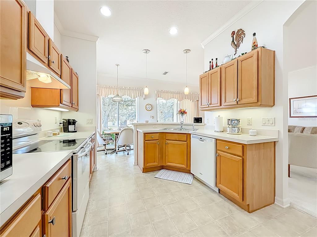3529 Mt Hope Loop Leesburg, FL 34748 - Photo 9 of 86 a kitchen with stainless steel appliances granite countertop a sink stove and cabinets