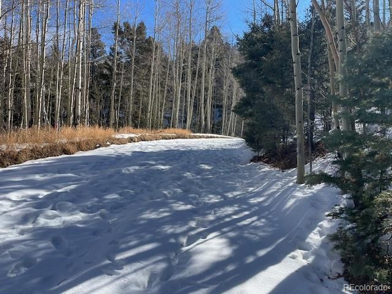 5252 Scott Road Fort Garland, CO 81133 - Photo 14 of 32 a view of a backyard of the house